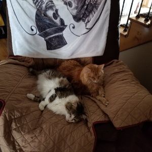 Meet your Posher, Therese